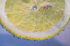 slice-of-lemon-2135548_1920